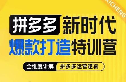 玺承·拼多多新时代爆款打造特训营,全维度讲解拼多多运营逻辑插图 玺承·拼多多新时代爆款打造特训营,全维度讲解拼多多运营逻辑