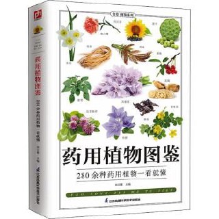 《药用植物图鉴》插图 《药用植物图鉴》