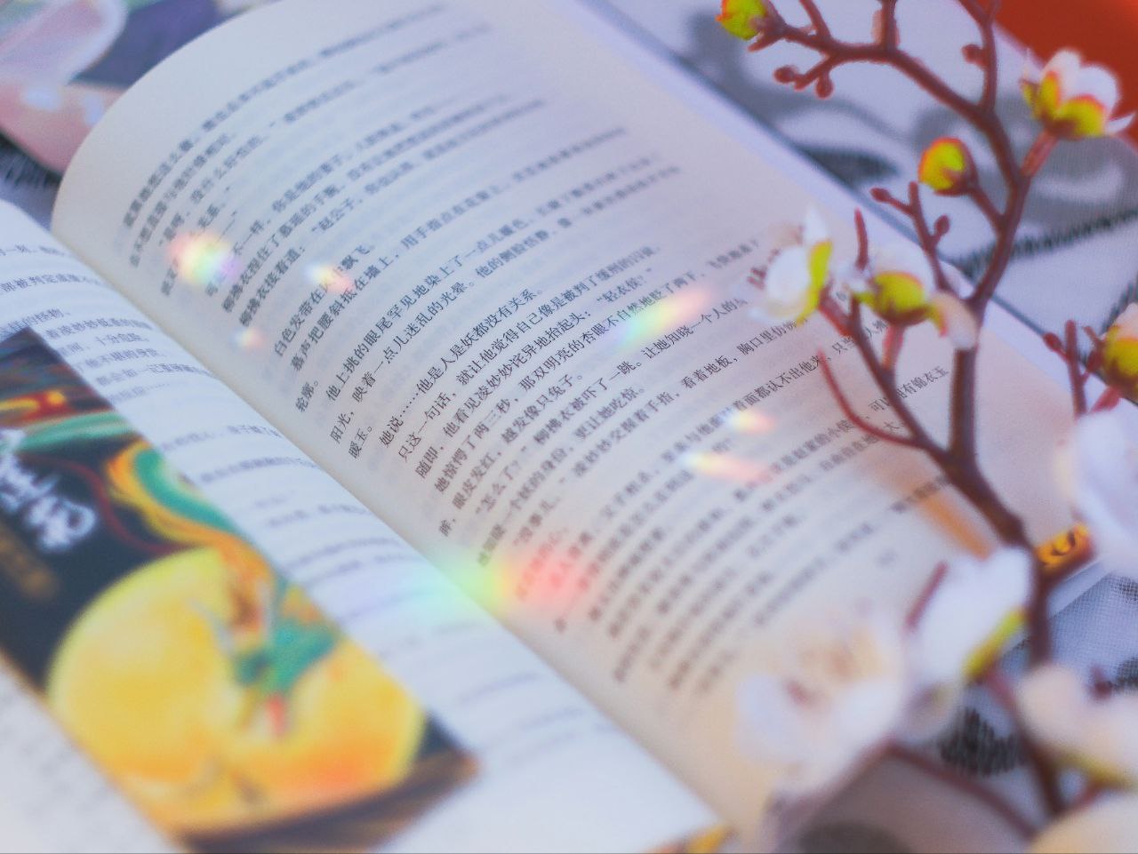 小说 合集 400多 20241105插图 小说 合集 400多 20241105