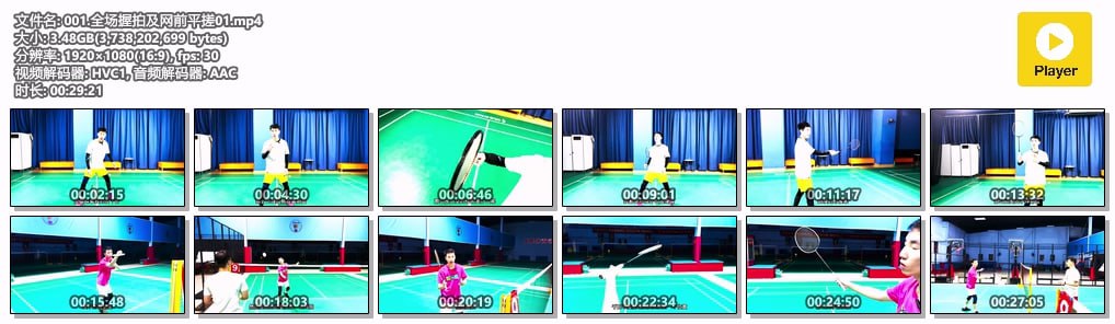 刘辉羽毛球全场轻技术线上教学插图 刘辉羽毛球全场轻技术线上教学