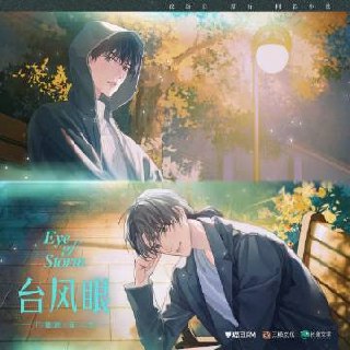 《台风眼》广播剧+有声剧+小说txt