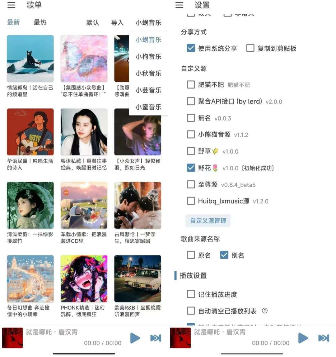 洛雪音乐Pro版  自带音源，Pro版就是好用