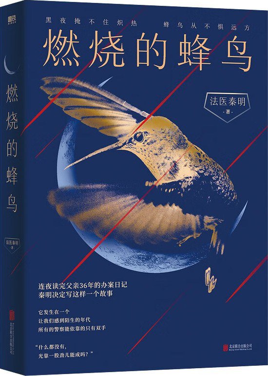燃烧的蜂鸟 [小说文学] [pdf+全格式]