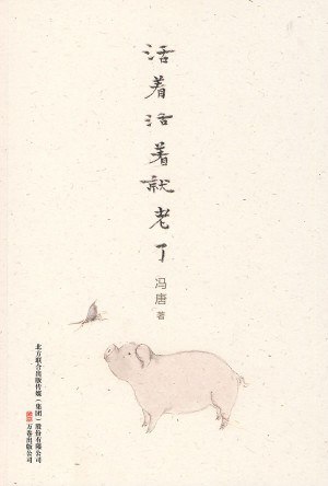 冯唐作品集 [励志成功] [pdf+全格式]
