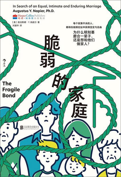 脆弱的家庭：为什么明知要磨合一辈子，还是想和他们做家人 [人文社科] [pdf+全格式]