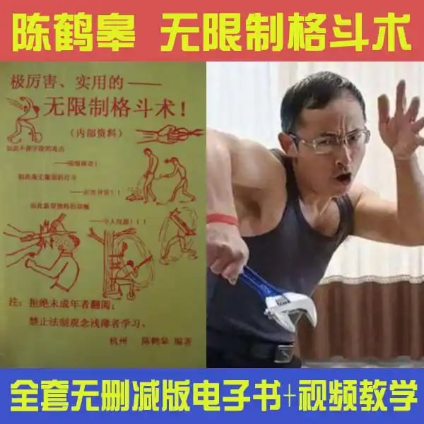 陈鹤皋无限制格斗《 一切为了实战而练》+训练视频插图 陈鹤皋无限制格斗《 一切为了实战而练》+训练视频