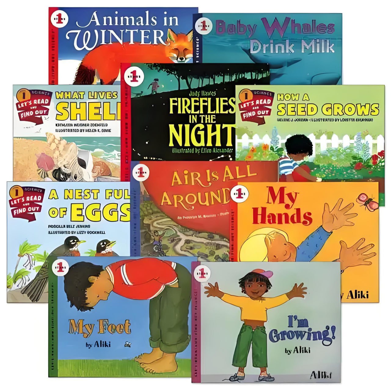 儿童科普启蒙绘本《让我们阅读发现 Let's read and find out science (L1-L2) 》