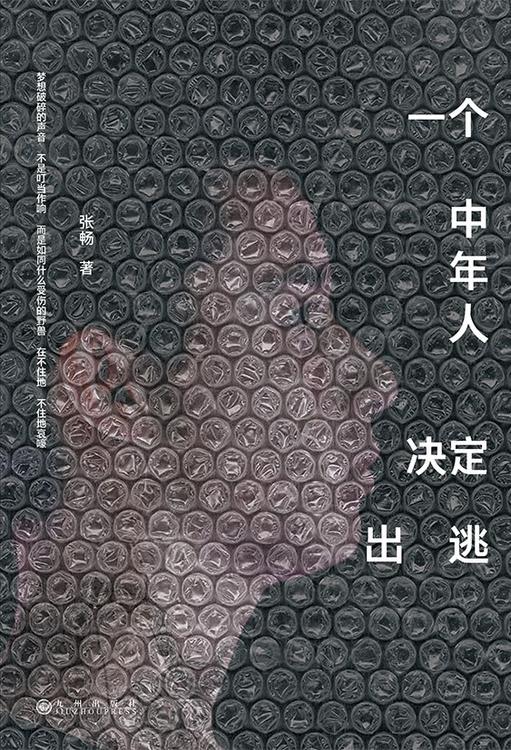 一个中年人决定出逃 [人文社科] [pdf+全格式]