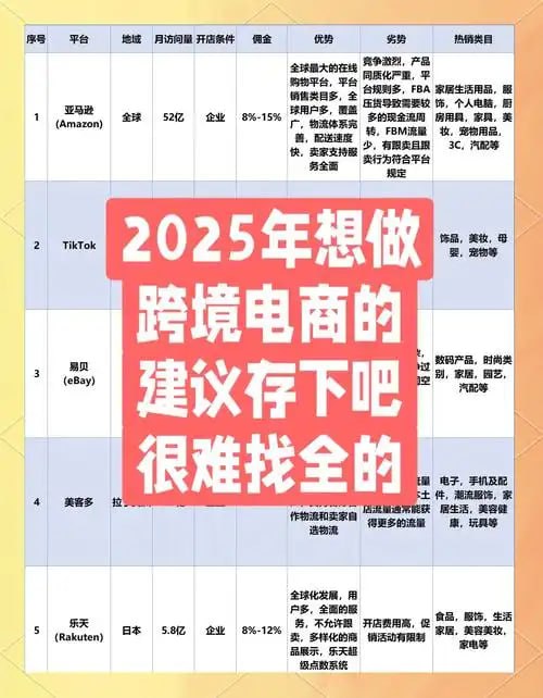 【2025电商类付费教程】_包含海内外各大平台课程插图 【2025电商类付费教程】_包含海内外各大平台课程