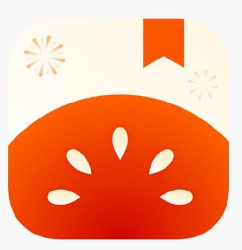 番茄免费小说 - 官方定制无广告版