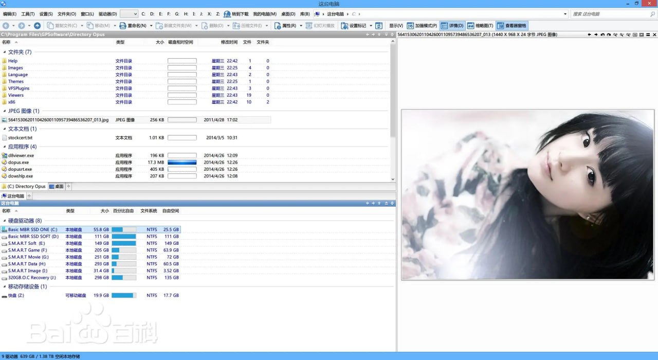 DirectoryOpus(文件管理器) v13.16.5 电脑版 专业版插图 DirectoryOpus(文件管理器) v13.16.5 电脑版 专业版