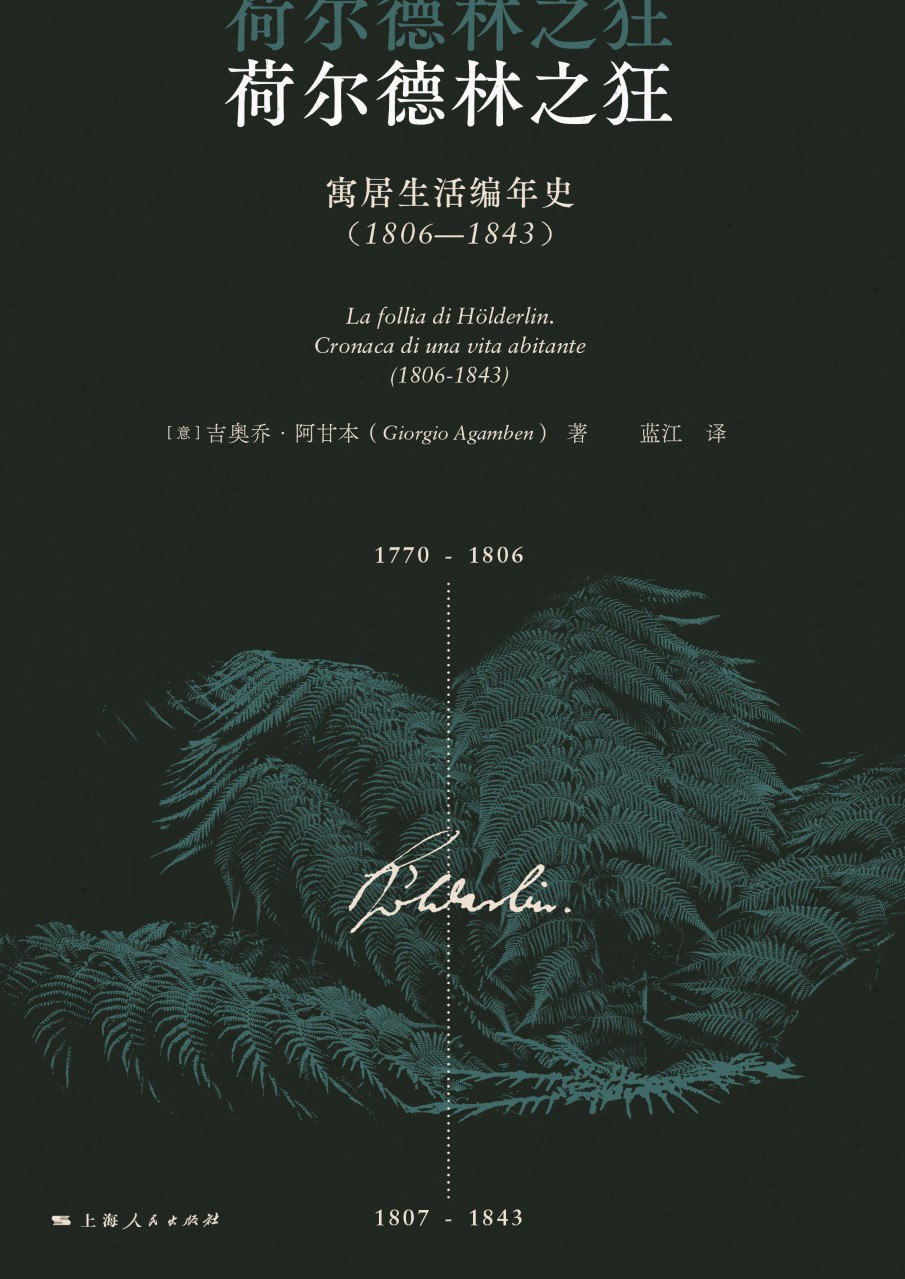 《荷尔德林之狂》(azw3+epub+mobi+pdf)