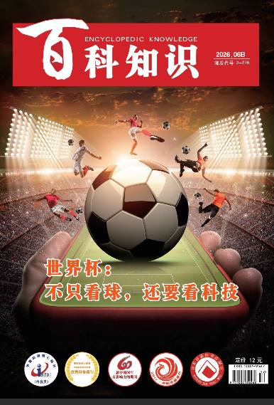 老牌科普杂志:百科知识(2026年第12期)中国大百科全书出版社插图 老牌科普杂志:百科知识(2026年第12期)中国大百科全书出版社