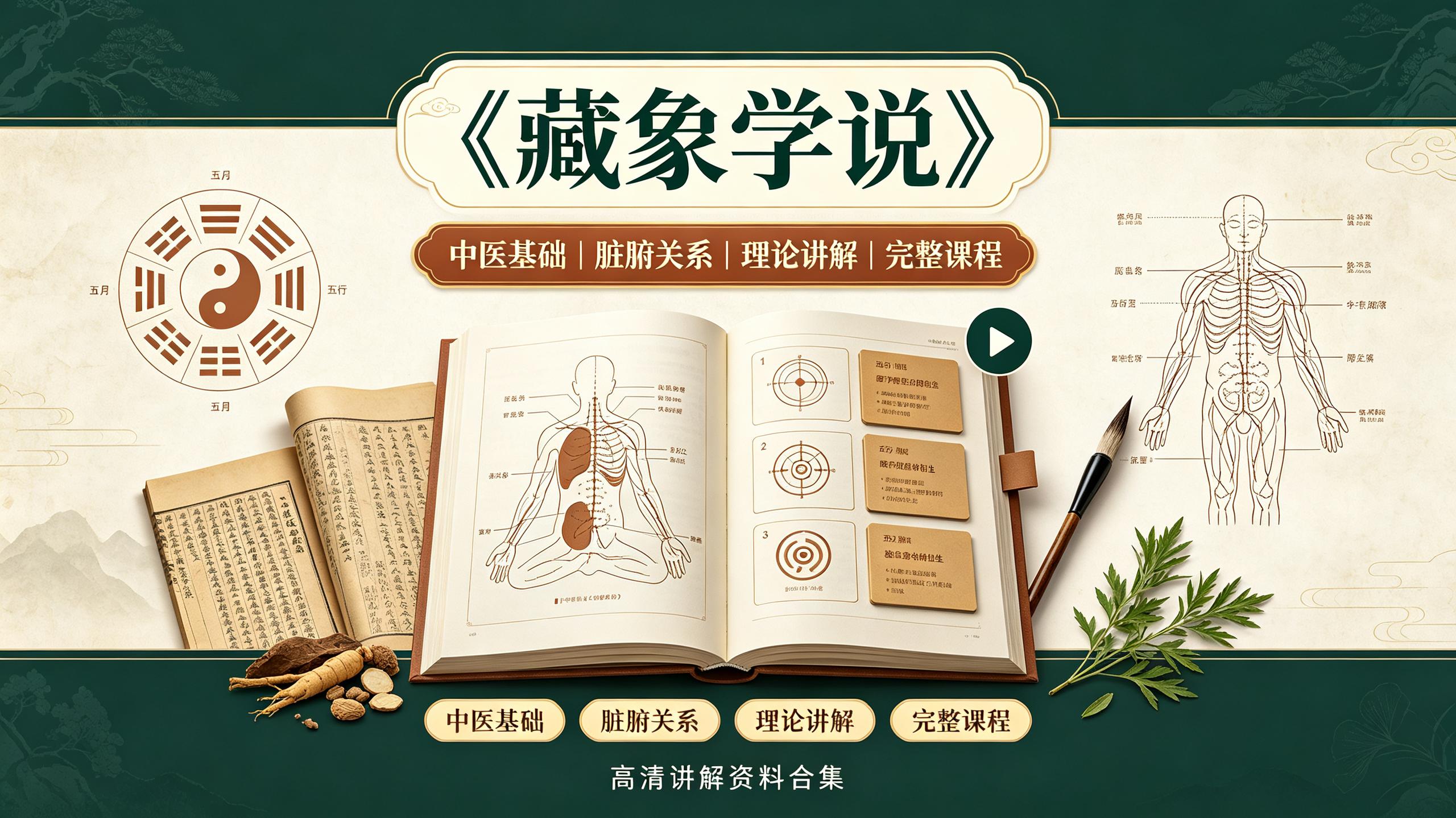 中医课程《藏象学说》【35集】(完结)插图 中医课程《藏象学说》【35集】(完结)